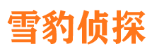 霍山侦探公司